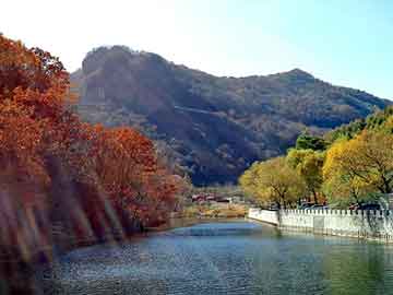 管家婆黑白马报图库，流行小说